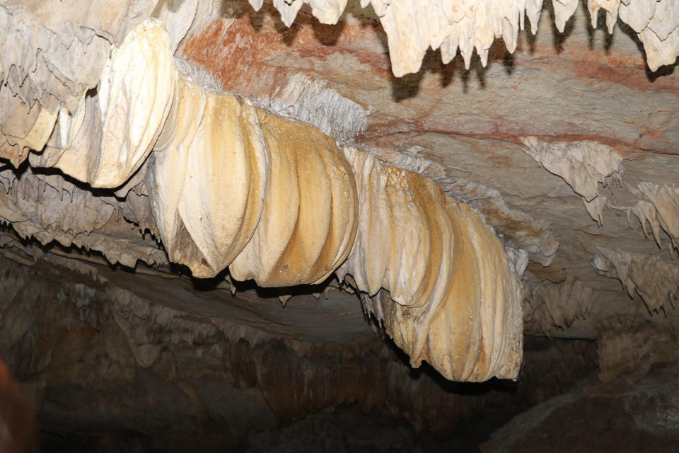 Nhũ đá tạo hình hoa sen độc đáo. (Ảnh: Ninh Đức Phương/TTXVN)