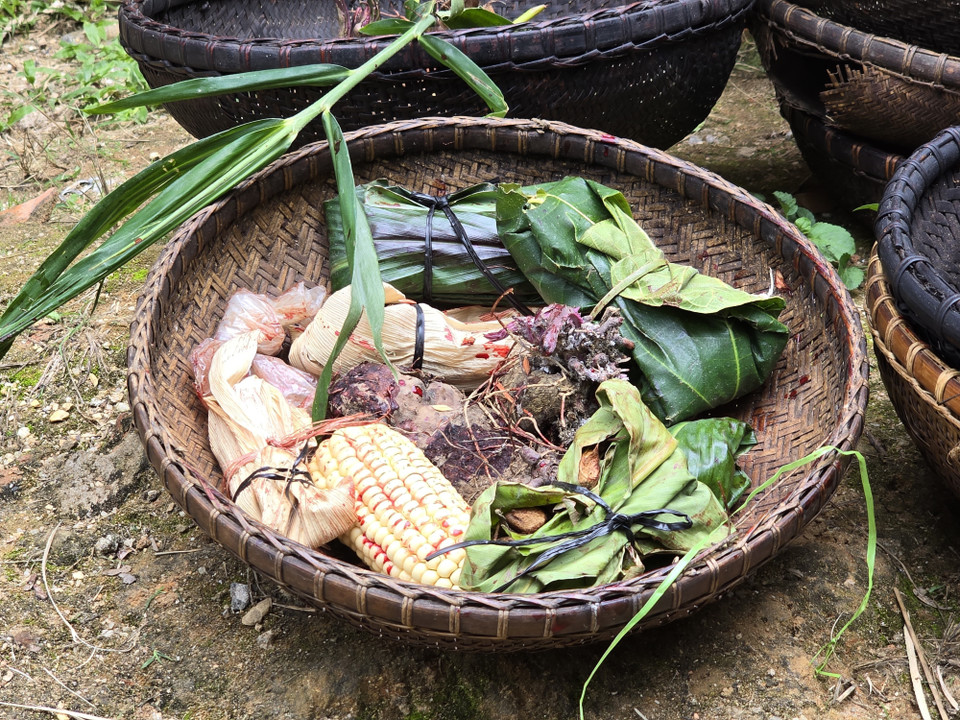Gùi hạt giống được người Brâu bôi máu trâu và mang cúng Yàng (thần) với mong muốn có được vụ mùa bội thu. (Ảnh: Khoa Chương/TTXVN)