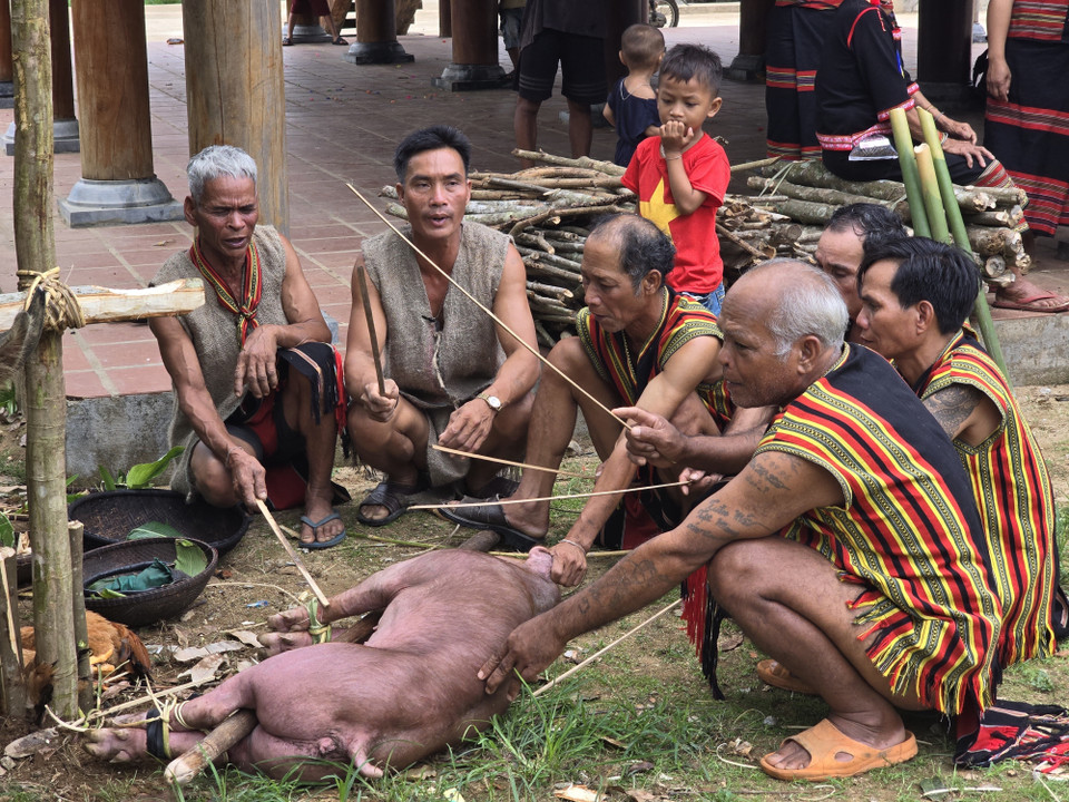 Nghi thức cúng Trỉa lúa của người Brâu là dâng cho Yàng (thần) những sản vật địa phương với hi vọng mang lại vụ mùa bội thu. (Ảnh: Khoa Chương/TTXVN)