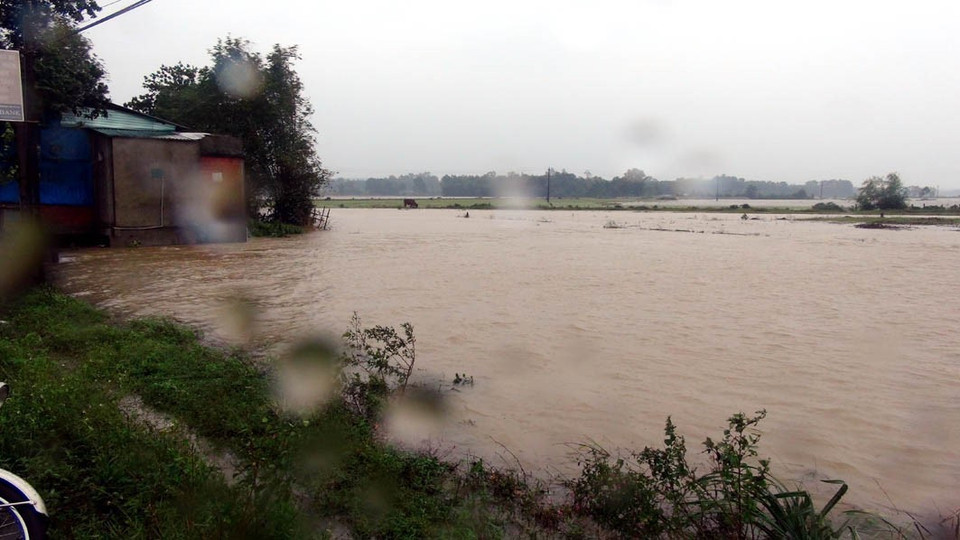 Hầu hết diện tích hoa màu của người dân vùng trũng của huyện Hải Lăng, tỉnh Quảng Trị ngập chìm trong nước. (Ảnh: Trịnh Bang Nhiệm/TTXVN)