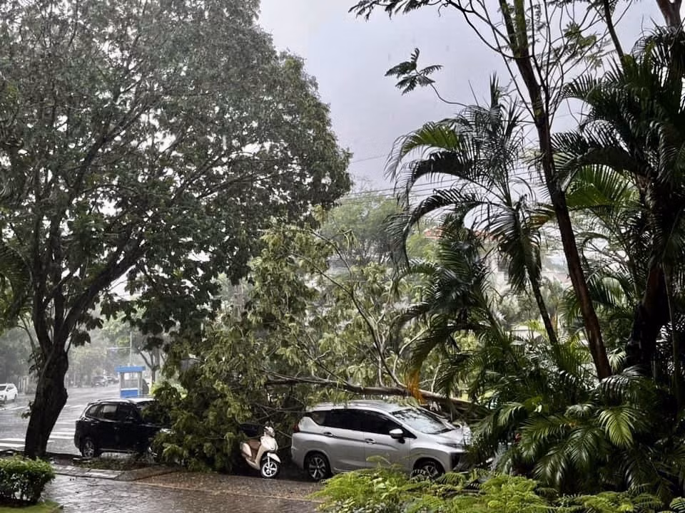 Giông lốc khiến cây ngã đổ tại khu đô thị Phú Mỹ Hưng (quận 7) nhưng không gây thương vong về người. (Ảnh: Hồng Giang/TTXVN)