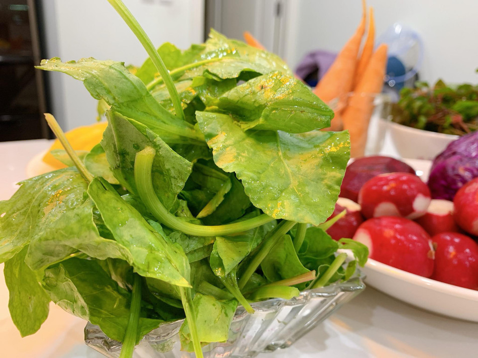 Cải bó xôi (hay rau chân vịt) giàu sắt nên rất bổ máu, chứa hàm lượng canxi và vitamin K cao tốt cho răng và xương; vitamin A tốt cho mắt và tăng sức đề kháng; có chất chống oxy hóa; ngoài ra còn chứa vitamin C, D và một lượng axit béo thực vật Omega 3 dồi dào... (Ảnh: Mai Mai/Vietnam+)