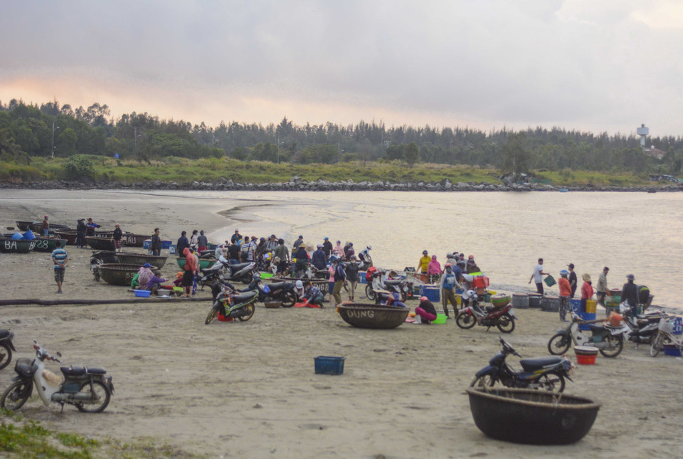 'Chợ ruốc' ở biển Thọ Quang phía dưới chân núi Sơn Trà. (Ảnh: Văn Dũng/TTXVN)