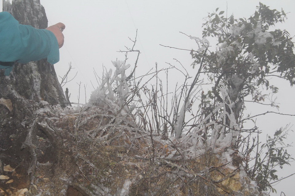 Băng giá trên đỉnh Trống Páo Sang, xã La Pán Tẩn, huyện Mù Cang Chải, Yên Bái. (Ảnh: Đỗ Tuấn Anh/TTXVN)
