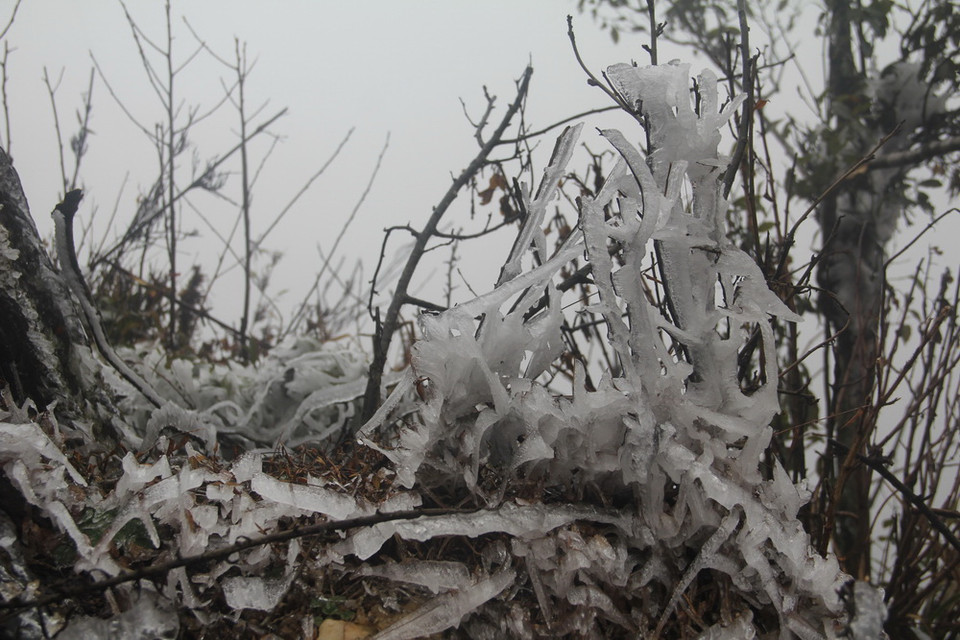 Băng giá trên đỉnh Trống Páo Sang, xã La Pán Tẩn, huyện Mù Cang Chải, Yên Bái. (Ảnh: Đỗ Tuấn Anh/TTXVN)