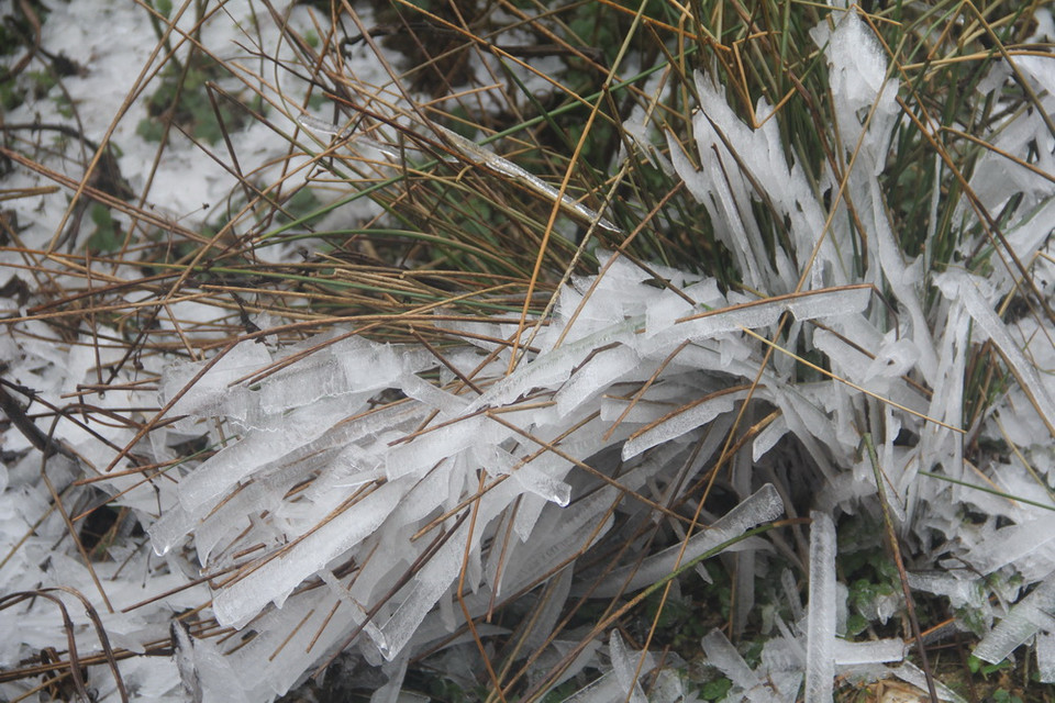 Băng giá trên đỉnh Trống Páo Sang, xã La Pán Tẩn, huyện Mù Cang Chải, Yên Bái. (Ảnh: Đỗ Tuấn Anh/TTXVN)