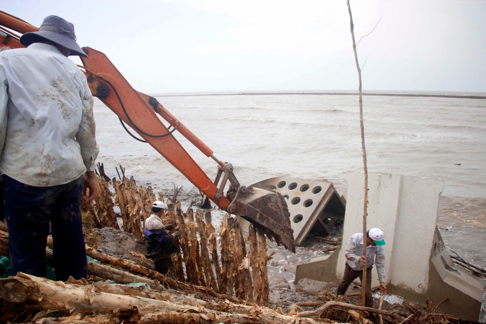Tỉnh Cà Mau đang tích cực huy động mọi nguồn lực nhằm bảo vệ đoạn đê xung yếu trước nguy cơ bị vỡ. (Ảnh: Huỳnh Thế Anh/TTXVN)