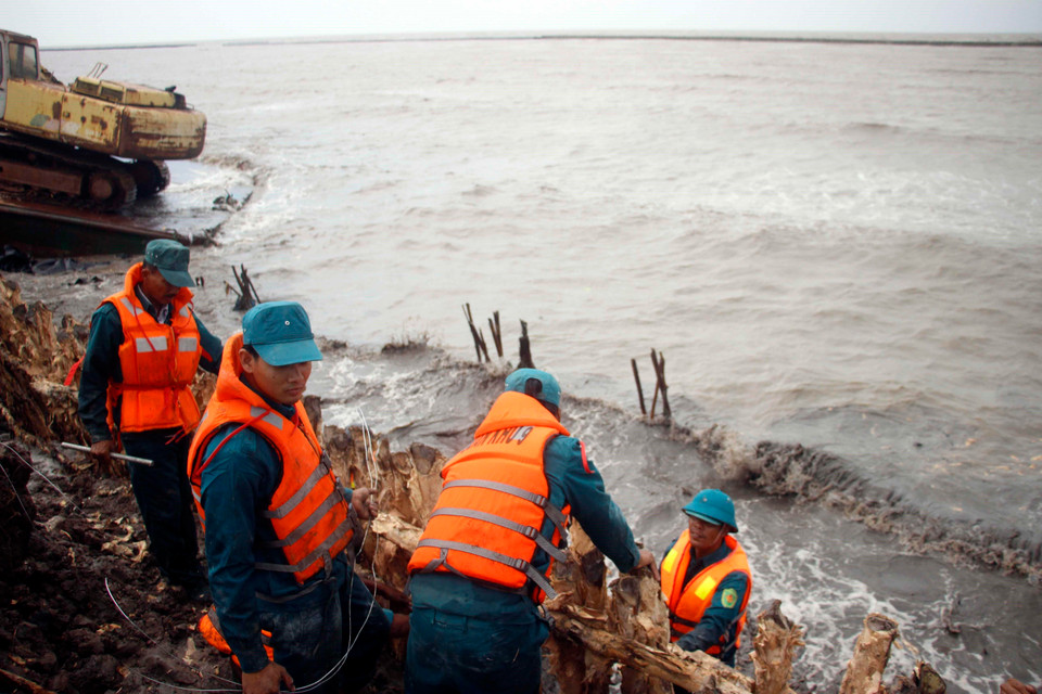 Tỉnh Cà Mau đang tích cực huy động mọi nguồn lực nhằm bảo vệ đoạn đê xung yếu trước nguy cơ bị vỡ. (Ảnh: Huỳnh Thế Anh/TTXVN)