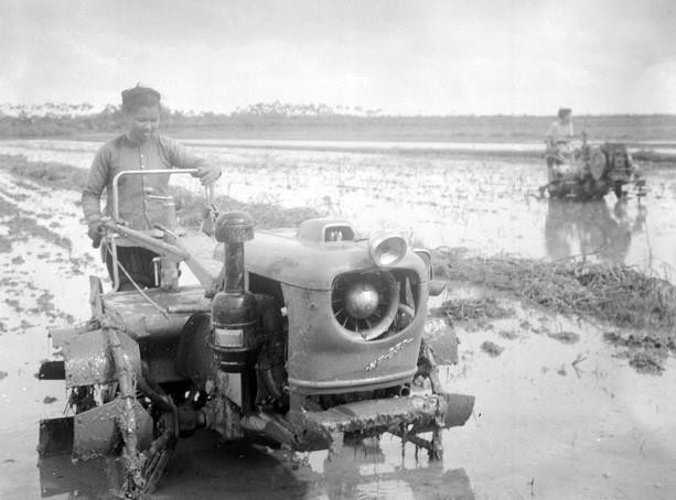 Xã viên HTX Hòa Loan, tỉnh Vĩnh Phúc dùng cày máy ở ruộng nước để tăng năng suất gieo cấy trong vụ mùa 1966. (Ảnh: Hoàng Thiện/TTXVN)