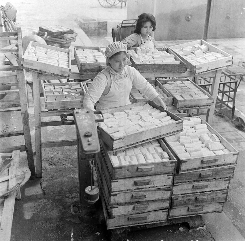 Công nhân cửa hàng thực phẩm Chợ Con, Hải Phòng chuẩn bị nguồn hàng đậu phụ bán phân phối cho các cửa hàng trong thành phố (tháng 4/1967). (Ảnh: Bảo Hanh/TTXVN)