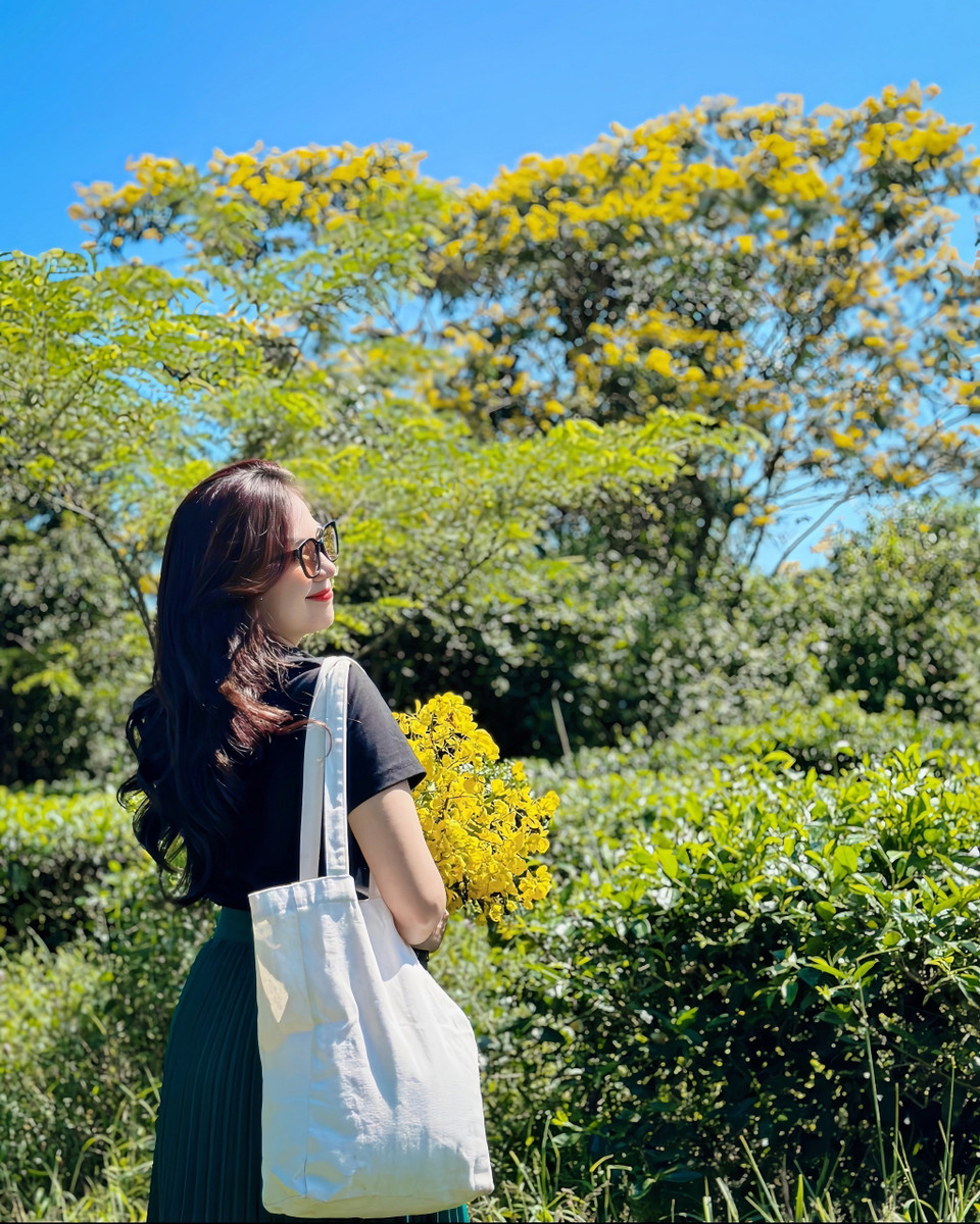 Du khách chụp ảnh lưu niệm với hoa muồng vàng. (Ảnh: Hồng Điệp/TTXVN)