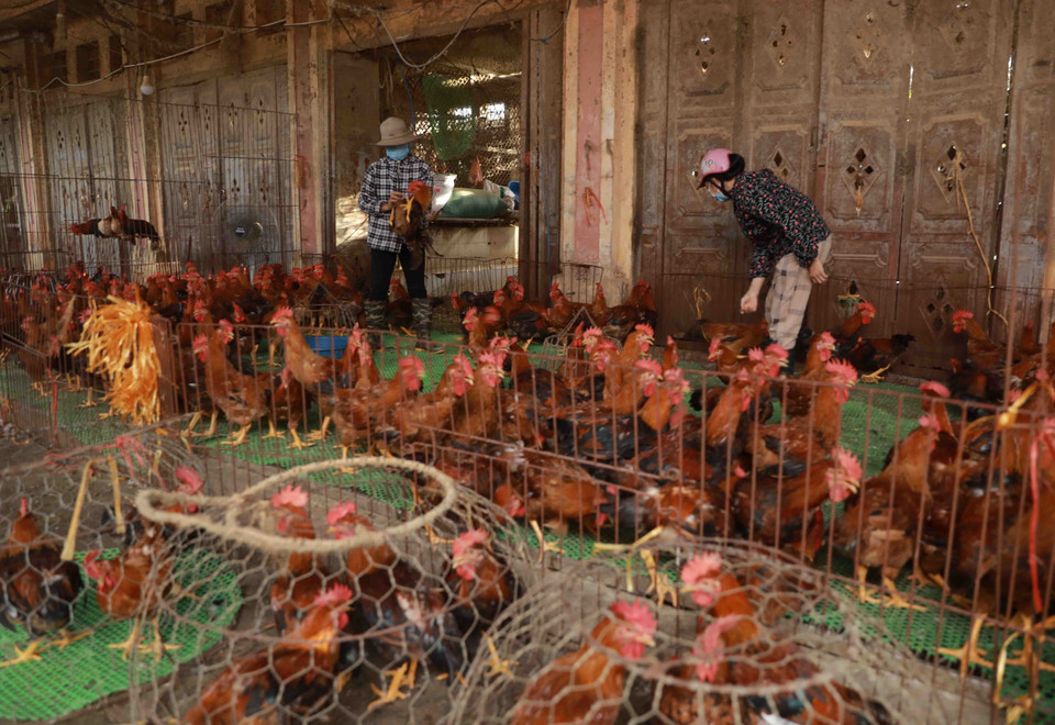 Các tiểu thương đến chợ luôn có ý thức giữ khoảng cách an toàn khi mua sắm. (Ảnh: Vũ Sinh/TTXVN)