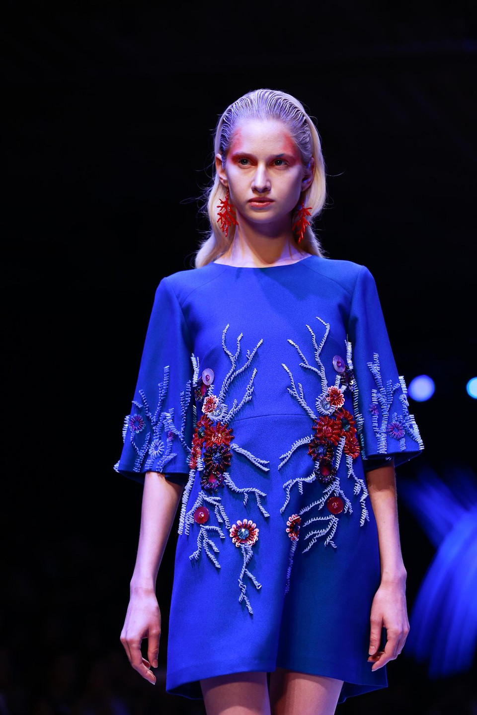 ... thám hiểm thủy cung hay làm một cuộc dạo chơi ngắn như trong tiểu thuyết du hành 'Hai vạn dặm dưới đáy biển.' (Ảnh: BTC)