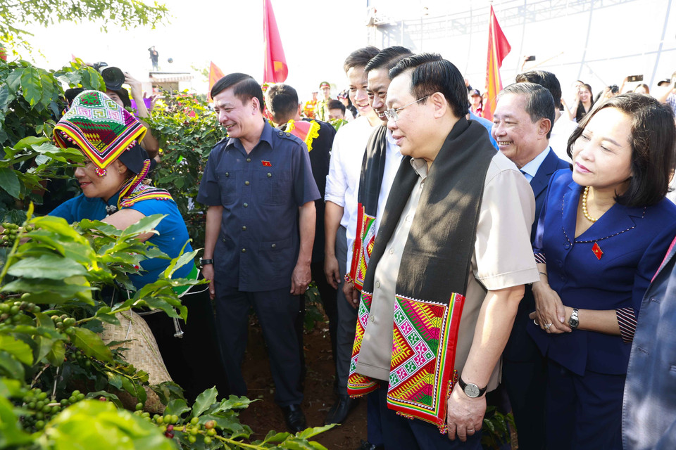 Chủ tịch Quốc hội Vương Đình Huệ chứng kiến cuộc thi hái càphê tại Hội thi Nhà nông đua tài. (Ảnh: Doãn Tấn/TTXVN)