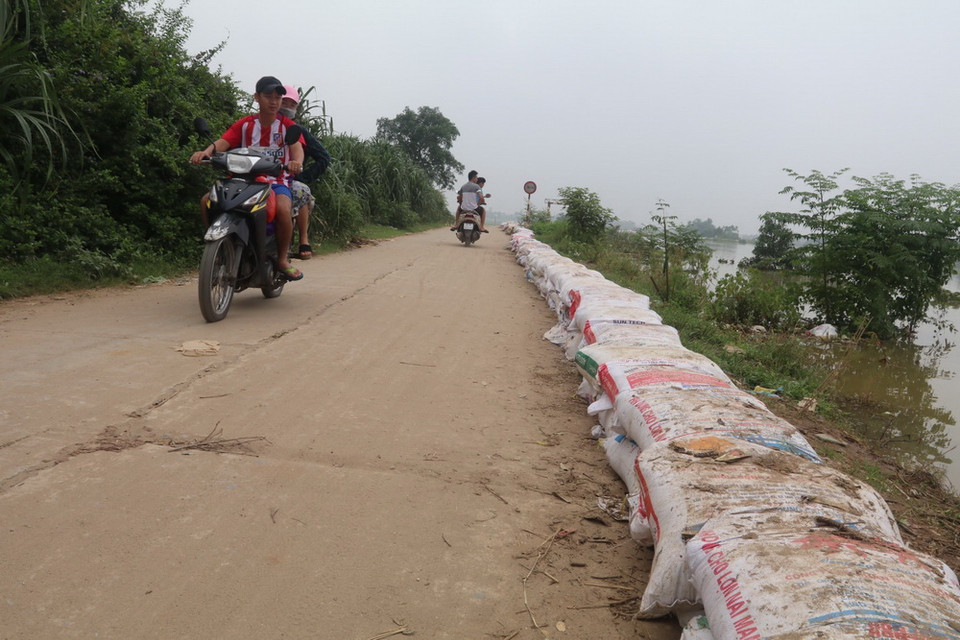 Để chủ động đối phó với mưa lũ, hiện các lực lượng chức năng cùng người dân huyện Chương Mỹ đang nỗ lực thực hiện phòng hộ đê, đặc biệt là tại các đoạn đê thấp, xung yếu; chủ động ứng phó với diễn biến phức tạp của mưa, lũ. (Nguồn: TTXVN)