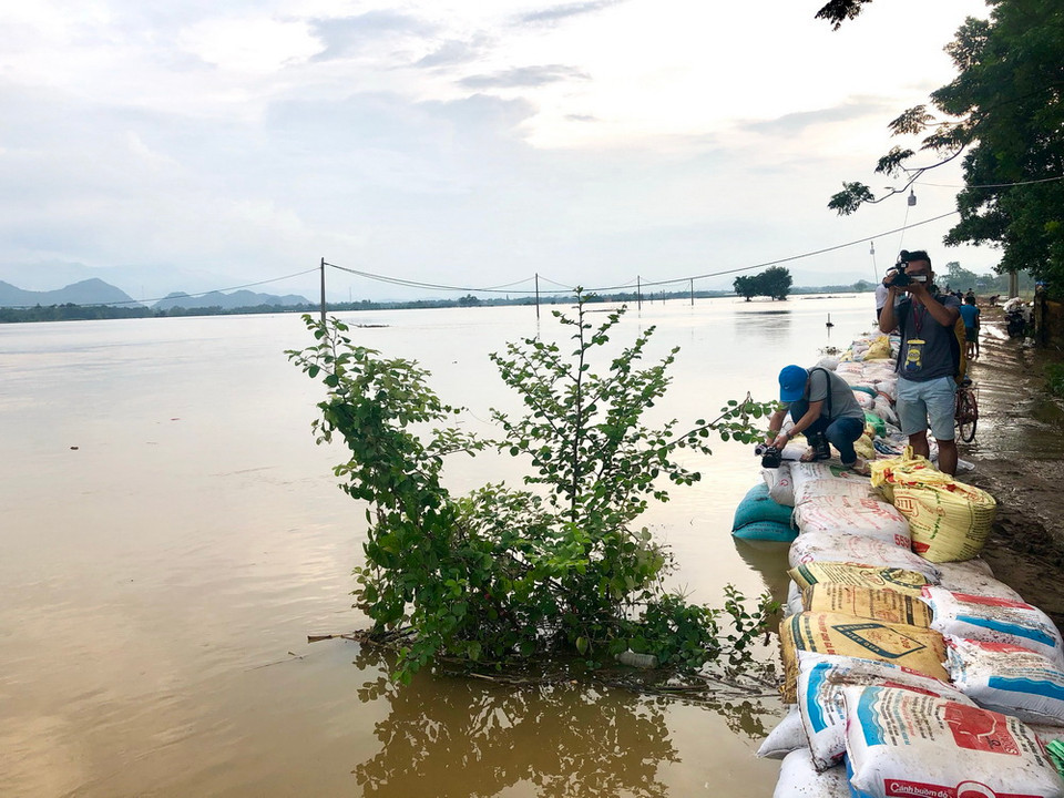 Tuyến đê tả Bùi qua cầu Bến Cốc, xã Thanh Bình đã được các lực lượng và bà con chống tràn bằng những bao tải cát cao. (Ảnh: Minh Nghĩa/TTXVN)
