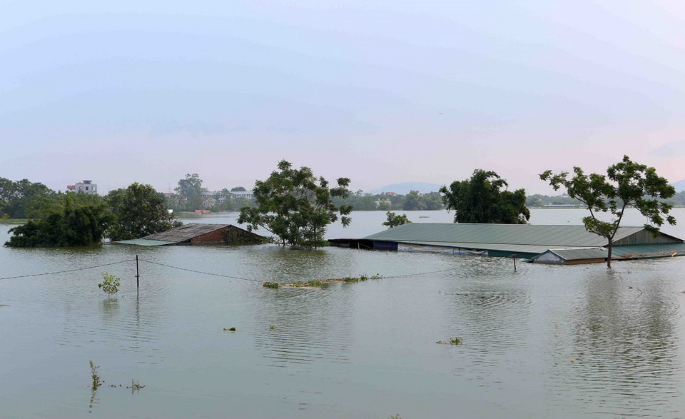 Những ngôi nhà ngập đến mái tại thôn Cấn Thượng. (Ảnh: Thành Đạt/TTXVN)