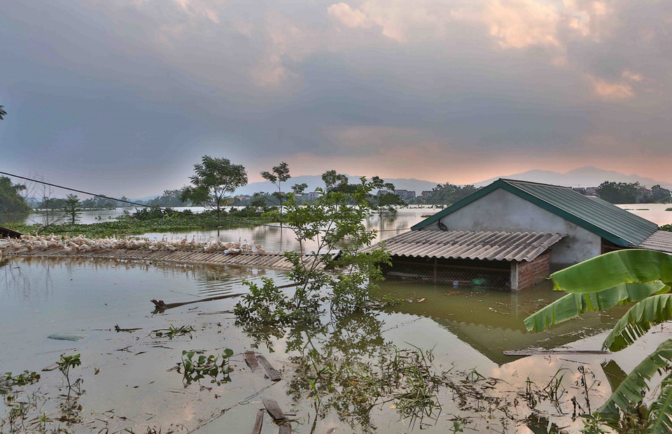 Những ngôi nhà ngập đến mái tại thôn Cấn Thượng. (Ảnh: Thành Đạt/TTXVN)