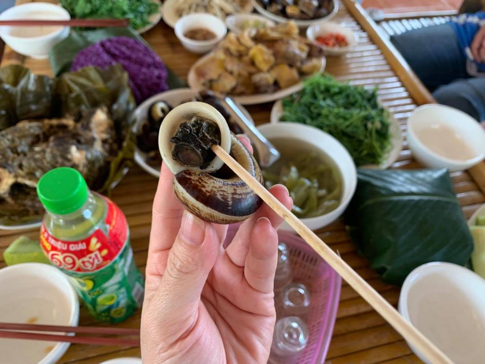 Loài ốc đá này bám trên vách núi đá ở những chỗ ẩm ướt, hoặc đá ở những dòng suối nước trong mát. Chúng ăn rong rêu, lá cây rừng nên có vị hơi nhặng đắng nhưng giòn và ăn xong có vị ngọt. Ở xứ Mường Hòa Bình, người dân coi đây là vị thuốc đặc biệt. (Ảnh: Vietnam+)