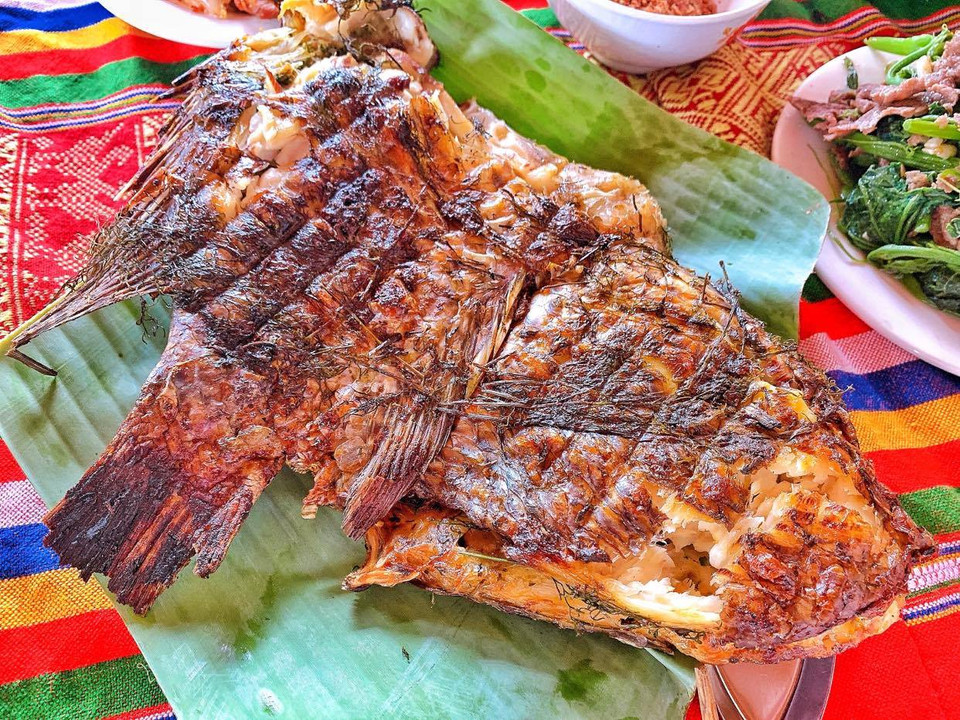 Người Thái ở vùng Tây Bắc bảo, Pa Pỉnh Tộp ngon nhất khi ăn kèm xôi nếp nương, chấm cùng chẩm chéo, uống với rượu ngô. Món ăn đủ vị chua, cay, ngọt, mặn, đắng mà đặc biệt nhất là thơm nồng vị hạt dổi. (Ảnh: Vietnam+)