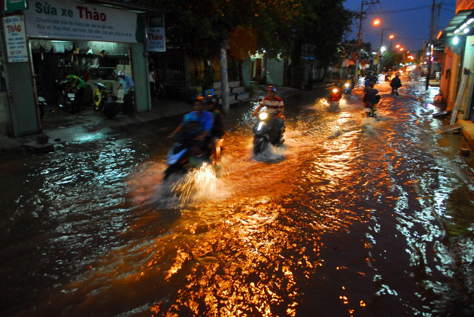 (Ảnh: Mạnh Linh/TTXVN)