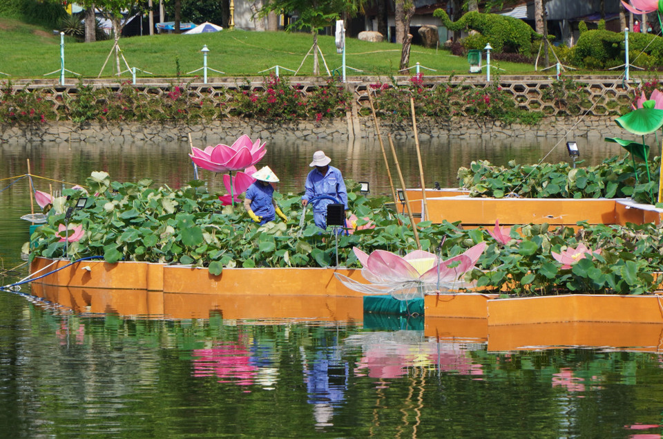 Công nhân chăm sóc những chậu hoa sen dùng tạo hình bản đồ Việt Nam trên mặt hồ Khổng Tử, thuộc Công viên Văn Miếu, thành phố Cao Lãnh. (Ảnh: Nhựt An/TTXVN)