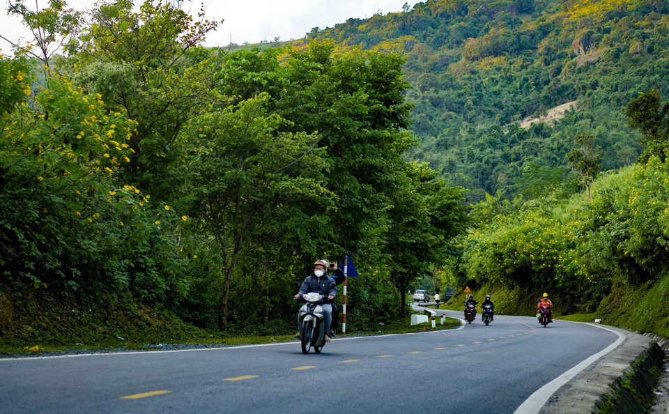 Hoa dã quỳ tạo nên vẻ đẹp khó cưỡng trên các cung đường Tây Bắc vào mùa Đông. (Ảnh: Xuân Tư/TTXVN)