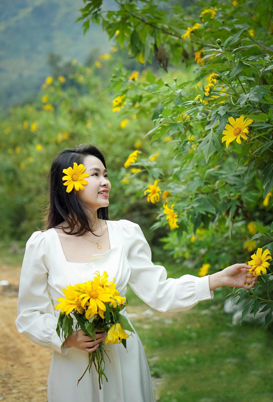 Thiếu nữ mê mẩn ngắm hoa dã quỳ. (Ảnh: Xuân Tư/TTXVN)