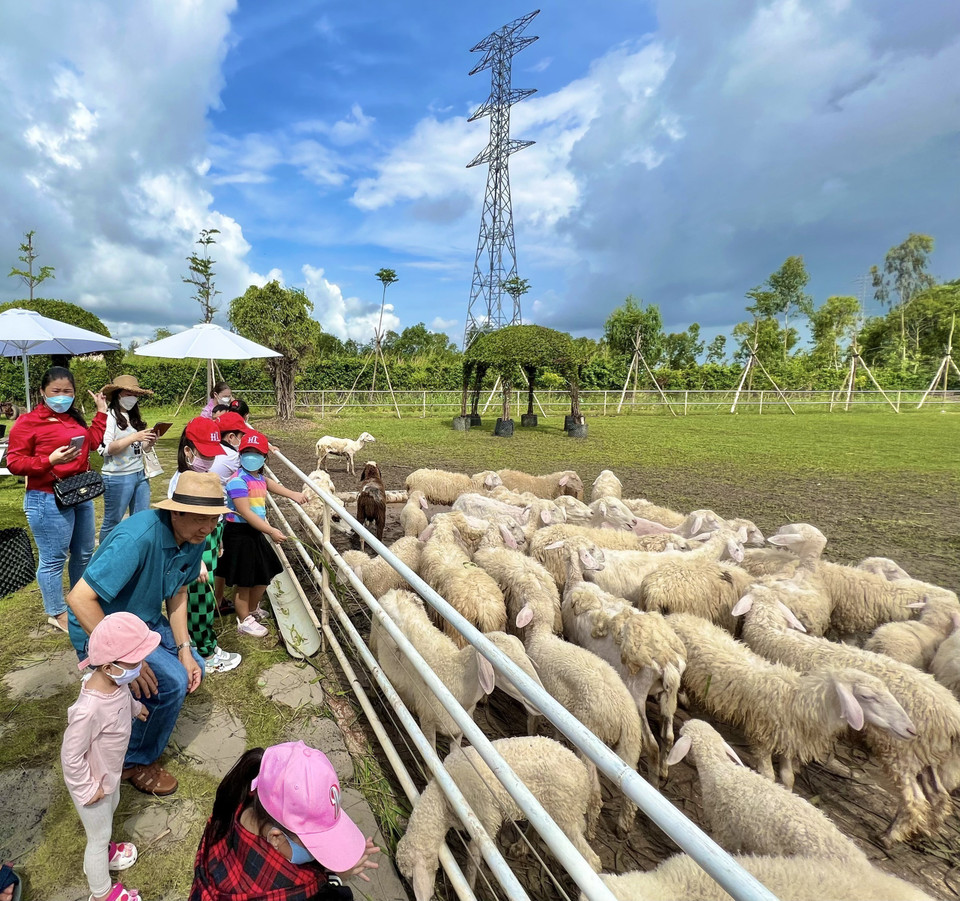 Mô hình này lấy ý tưởng từ Đà Lạt với tổng diện tích khoảng 10.000m2. (Ảnh: Nhật Bình/TTXVN)