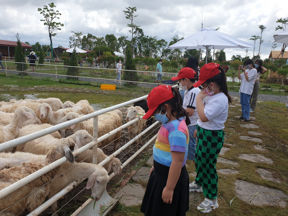 Du khách tham quan trang trại. (Ảnh: Nhật Bình/TTXVN)
