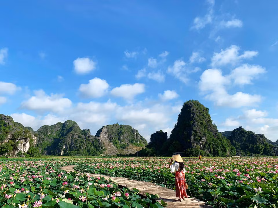 Cùng với tháp sống ảo, thác nước nhân tạo, vườn nấm khổng lồ... thì hồ sen Hang Múa đang trở thành những địa điểm sống ảo được giới trẻ yêu thích nhất khi tới Ninh Bình. (Ảnh: Vietnam+)