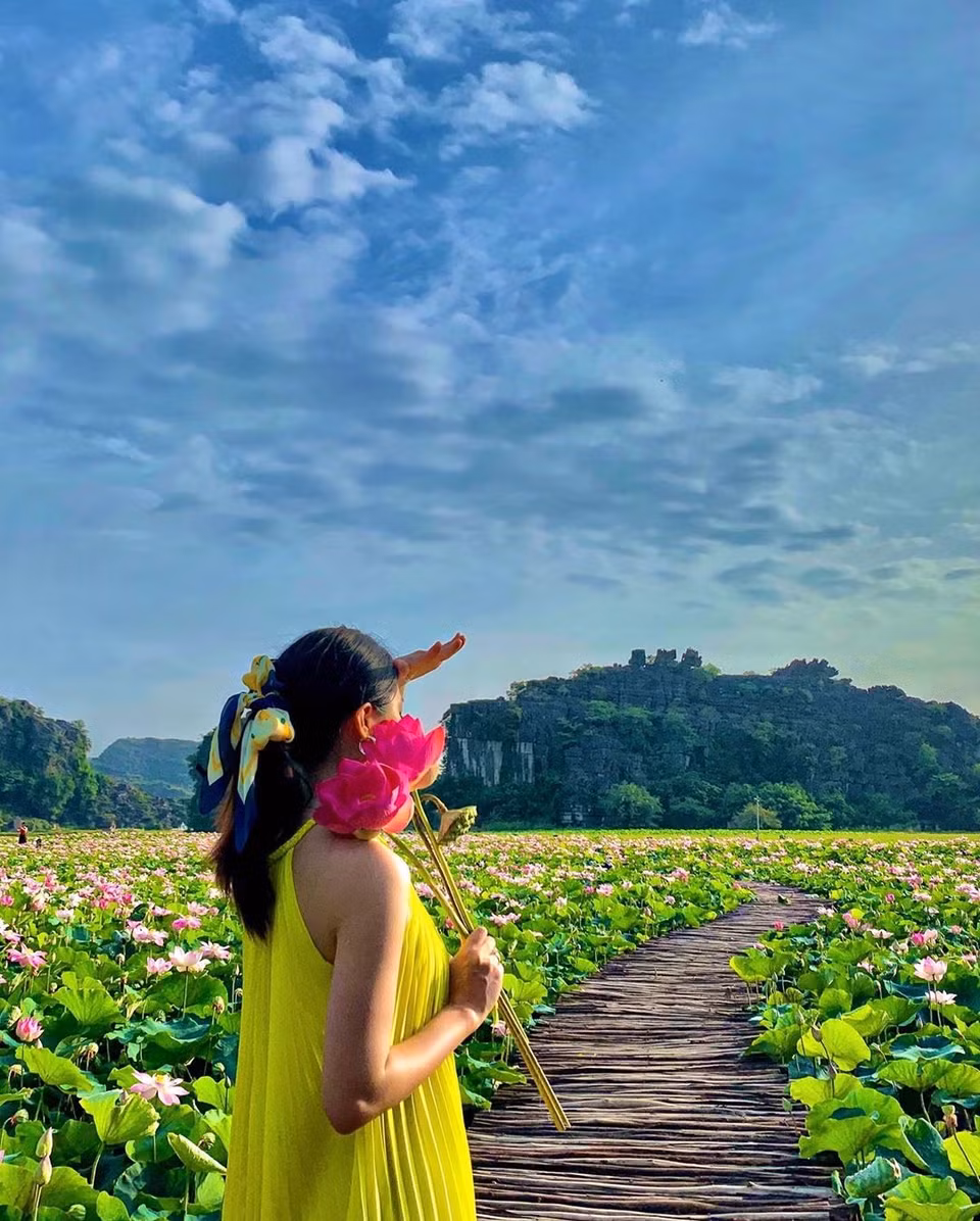 Chính vì thế, nơi đây trở thành địa điểm được nhiều người truyền tai nhau khi muốn chiêm ngưỡng hay chụp ảnh sen bất kể thời gian nào. (Ảnh: Vietnam+)