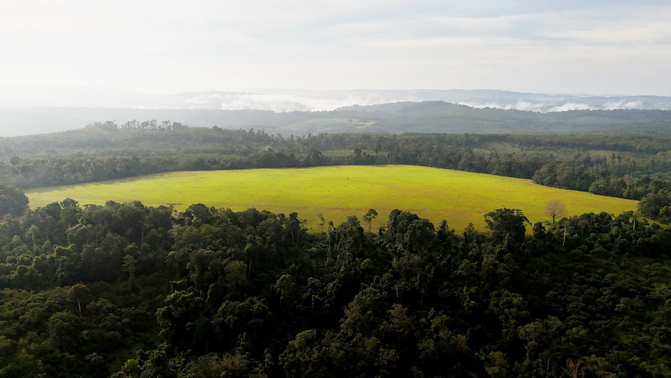 Khu vực xung quanh trảng cỏ là rừng nguyên sinh với thảm thực vật đa dạng, trong đó có cả những cây cổ thụ hàng trăm năm tuổi và một hồ nước trong xanh. (Ảnh: Nhật Bình/TTXVN)