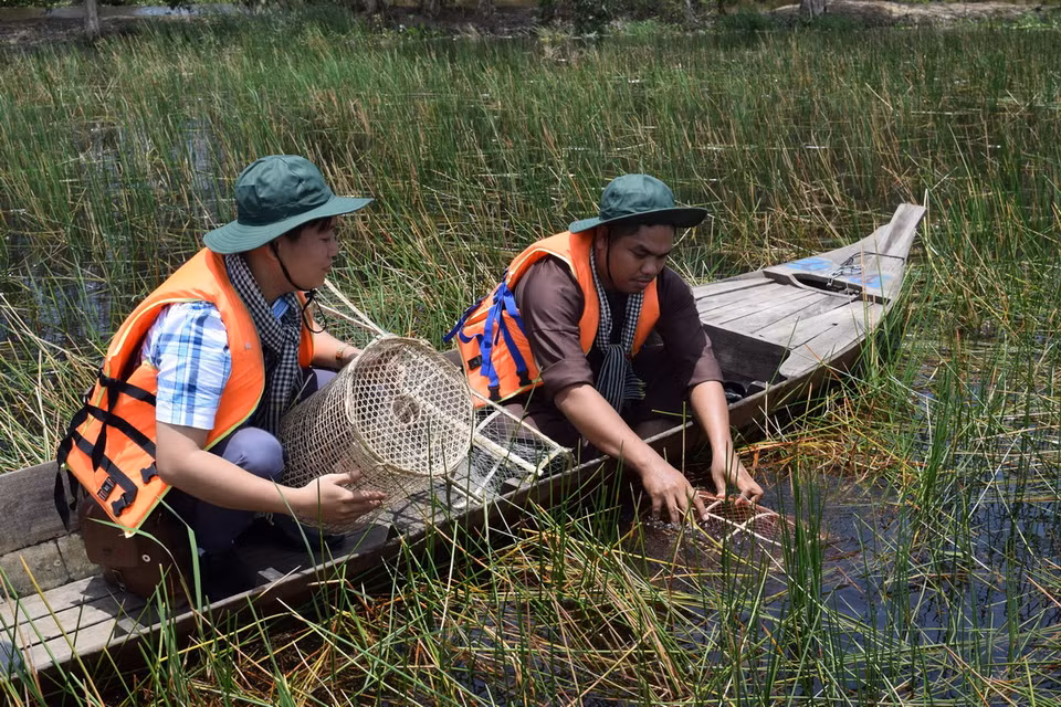  Hệ sinh thái của vùng được mệnh danh là 'Đồng Tháp Mười thu nhỏ' càng trở nên đặc biệt đa dạng vào mùa nước nổi ở miền Tây (từ tháng 8-11 âm lịch), là điểm đến hấp dẫn khách du lịch mỗi mùa con nước đổ. (Ảnh: Chương Đài/TTXVN)