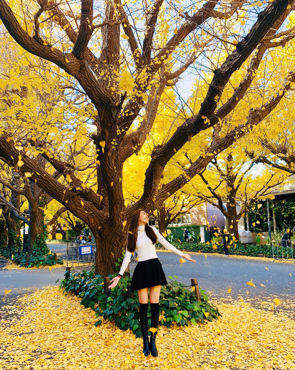 Một góc phố ở Hàn Quốc. (Ảnh: CTV/Vietnam+)