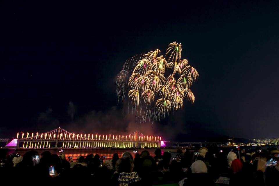 Màn trình diễn pháo hoa đầy sắc màu. (Ảnh: Anh Nguyên/TTXVN)