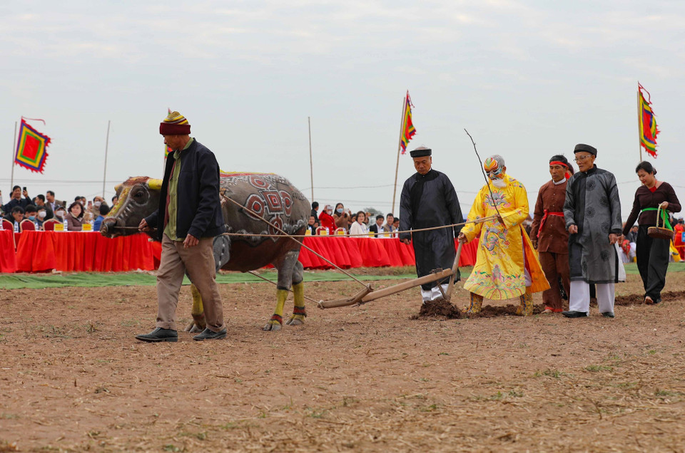 Tái hiện lại cảnh nhà Vua xuống đồng cày ruộng đầu năm mới tại lễ hội. (Ảnh: Thanh Tùng/TTXVN)