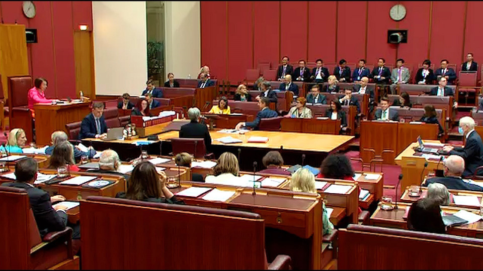 Chủ tịch Quốc hội Vương Đình Huệ và đại biểu dự thính phiên chất vấn tại Thượng viện. (Ảnh: TTXVN)