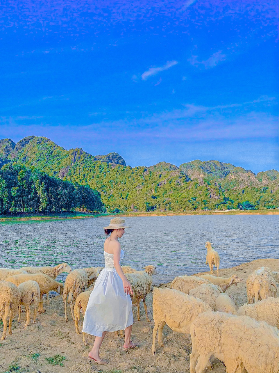 Xa xa bên bờ sông thấy thấp thoáng của hàng thông đang nghiêng mình soi bóng. Dưới hồ nước là vài chiếc thuyền độc mộc, điểm tô cho bức tranh thêm phần lãng mạn như chốn bồng lai tiên cảnh. (Ảnh: Mai Mai/Vietnam+)