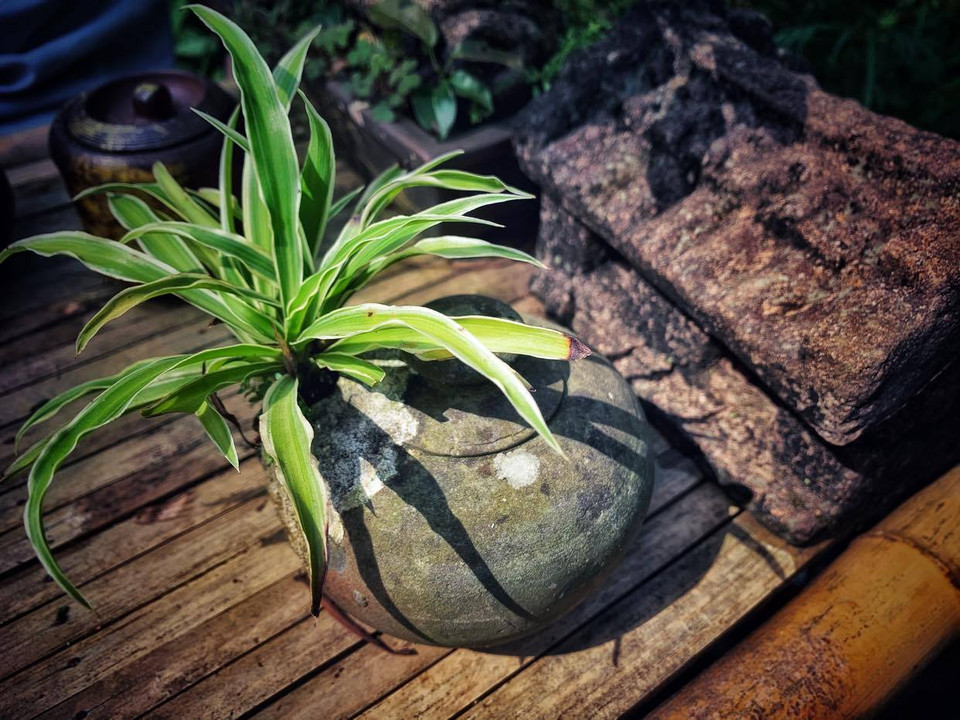 (Ảnh: Xuân Mai/Vietnam+)