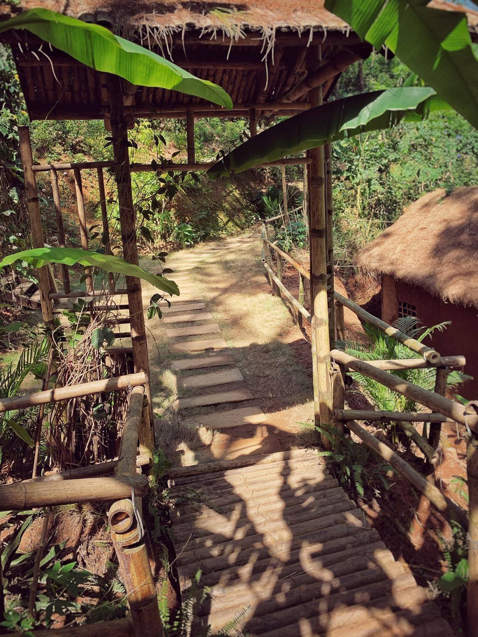 (Ảnh: Xuân Mai/Vietnam+)