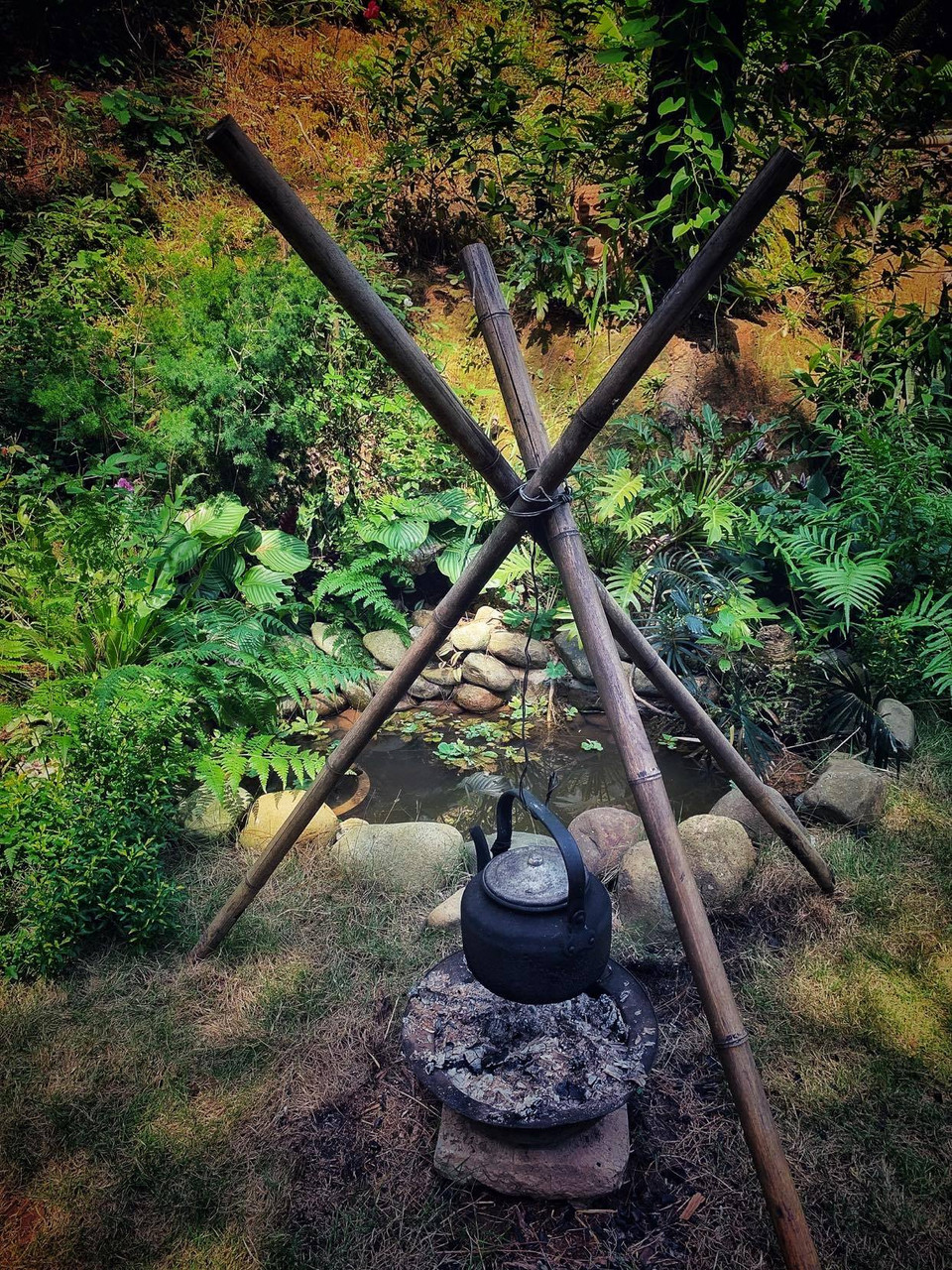 (Ảnh: Xuân Mai/Vietnam+)