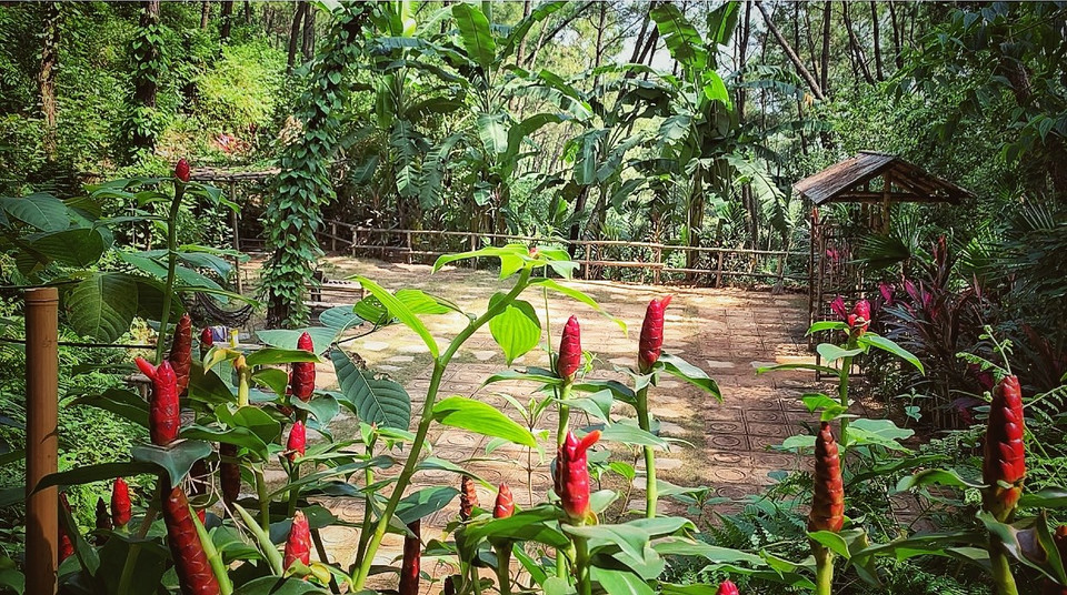 (Ảnh: Xuân Mai/Vietnam+)