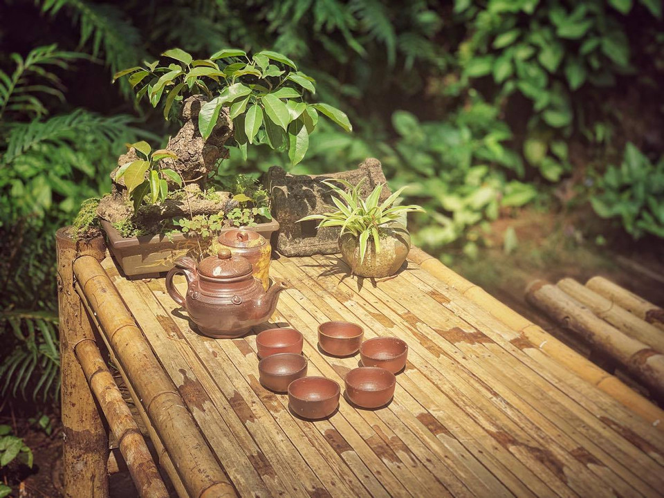 (Ảnh: Xuân Mai/Vietnam+)