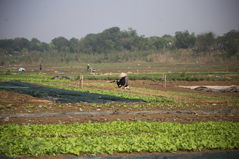 Nhờ sự giúp đỡ của chính quyền địa phương và nhiều nhà hảo tâm, tuy vẫn còn khó khăn nhưng cuộc sống của người dân nơi xóm trọ nghèo đã nhanh chóng trở lại bình thường. (Ảnh: Phương Thảo/TTXVN phát)