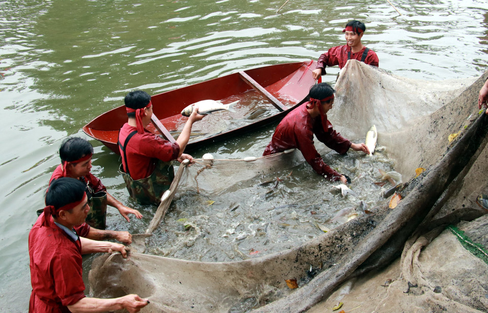 Nghi thức đánh bắt cá tại hồ bán nguyệt. (Ảnh: Nguyễn Lành/TTXVN)