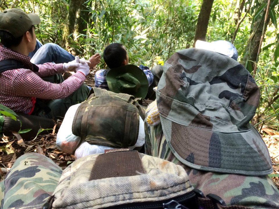 Nghỉ chân dưới tán cây nghe gió rít rười rượi, chim hót vượn kêu cho đôi chân đỡ mỏi mệt. (Ảnh: M.Mai/Vietnam+)