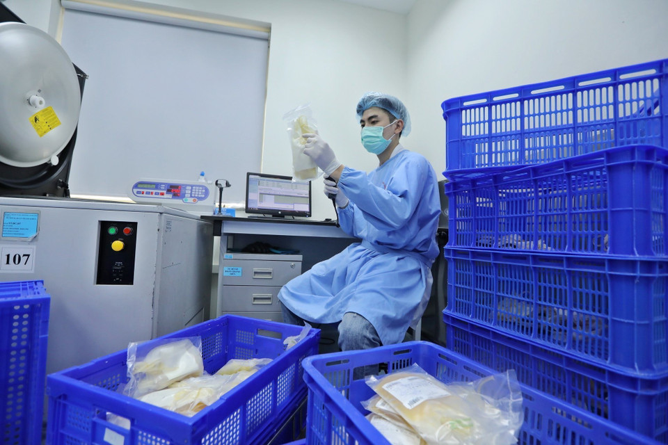 Máu sau khi được lấy từ người hiến sẽ được chuyển thẳng về Khoa Điều chế các thành phần máu của Viện Huyết học-Truyền máu Trung ương.(Ảnh: Minh Quyết/ TTXVN)