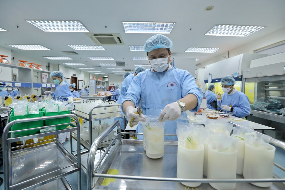 Thông thường quá trình xử lý máu hiến tặng sẽ kéo dài nhiều giờ trước khi được đưa tới các bệnh viện.(Ảnh: Minh Quyết/ TTXVN)