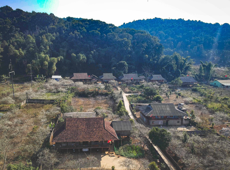 Vẻ đẹp thung lũng Phiêng Ban vào Xuân.(Ảnh: Xuân Tư/TTXVN)